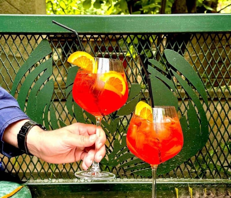 Două pahare de Aperol Spritz în fața gardului verde